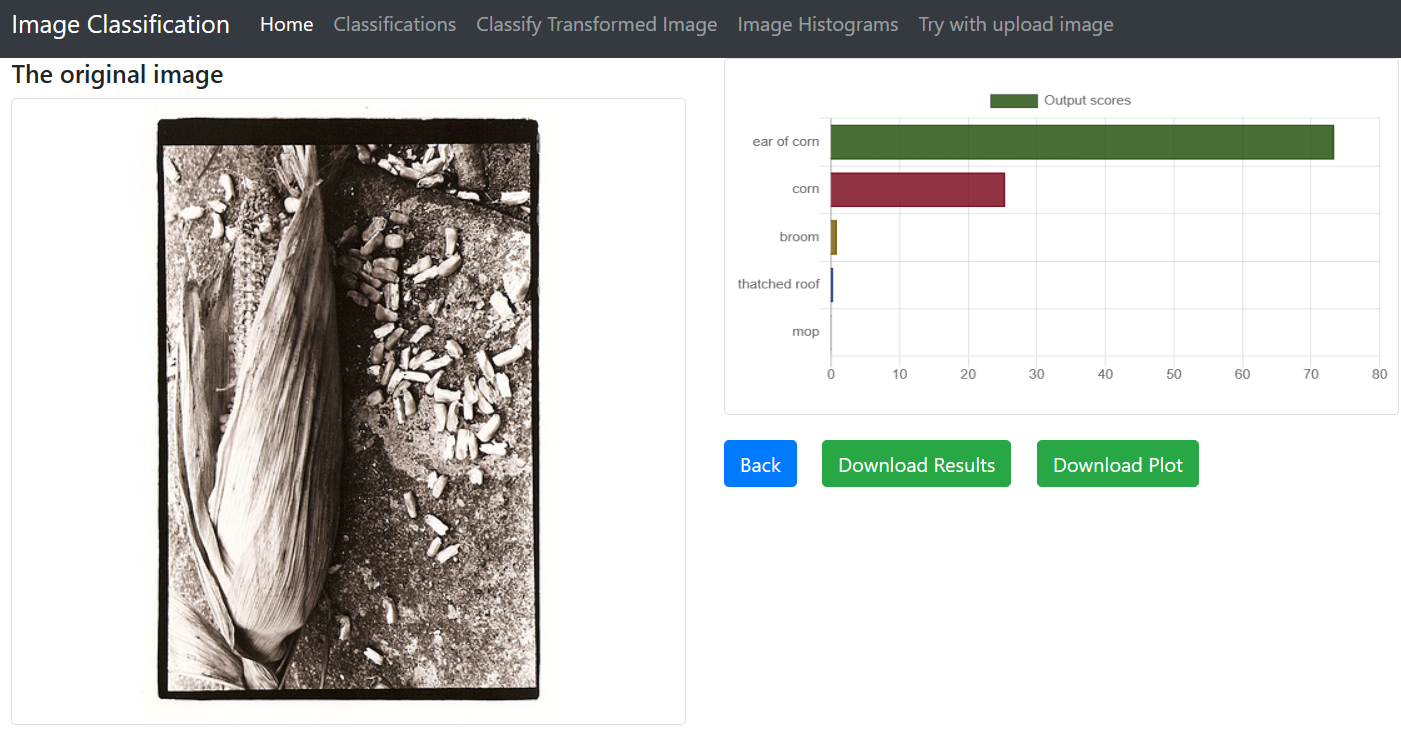Classification output with score chart and download buttons